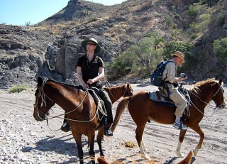 Passeios a cavalo no deserto 